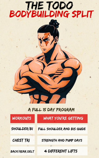 The Todo Bodybuilding Program