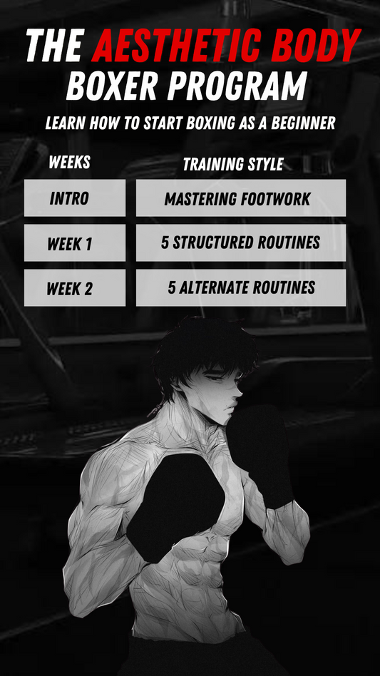 The Aesthetic Body Beginner Boxer Program
