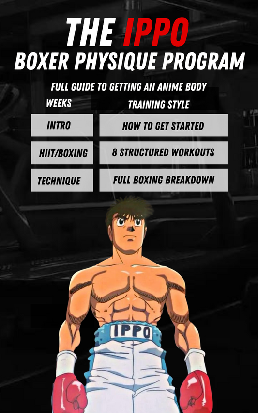 The Ippo Boxer Physique Program