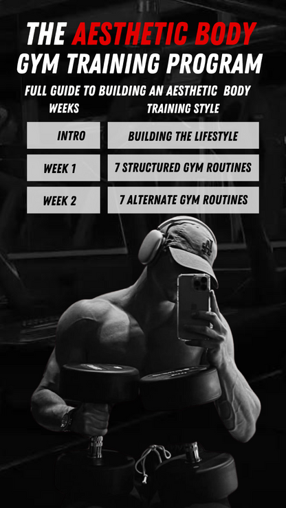 The Aesthetic Body Gym Program